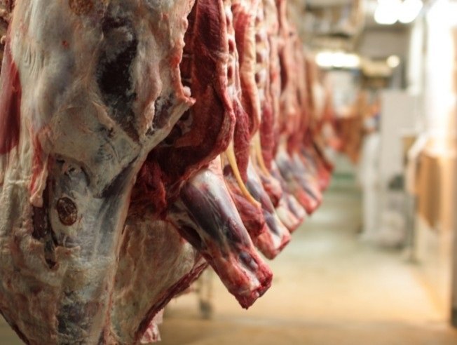 Cámara de la Industria Frigorífica advierte que “el estanque se queda sin peces”. En un informe señala que el stock de animales “faenables” (vacas de invernada, novillos de dos a tres y de más de tres años y vaquillonas de más de dos años sin entorar) es el más bajo en 15 años.