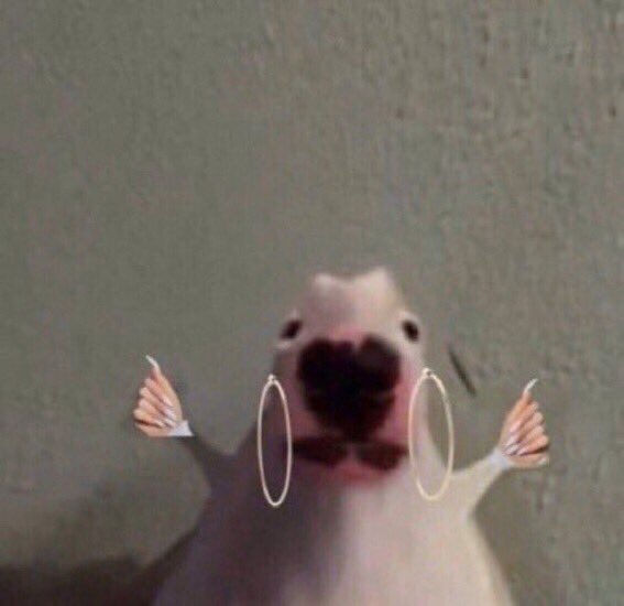 blushyhunn's tweet image. son