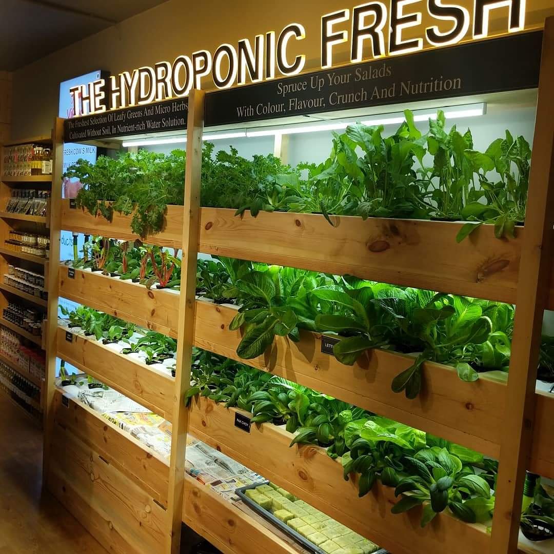 Our Indoor Installation.....