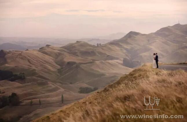 NZ
#WineryWedding