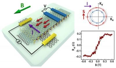 spintronicsinfo's tweet photo. Researchers from the University of Groningen developed a two-dimensional spin transistor, in which spin currents were generated by an electric current through a graphene and TMD structure

https://t.co/Tf7xxUi92H https://t.co/1O3BodlRoK