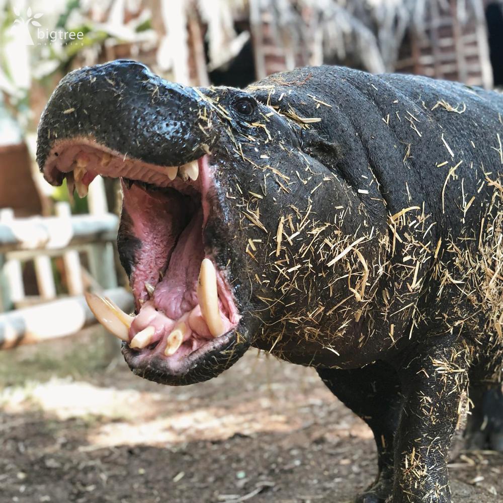 Take that crazy week, the weekend is upon us! <a href="/cangowranch/">Cᴀɴɢᴏ Wɪʟᴅʟɪғᴇ Rᴀɴᴄʜ</a>