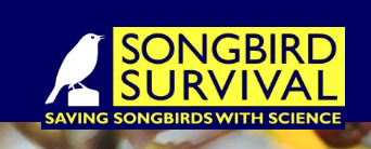  SONGBIRD SURVIVALAnother charity that Ruth is/was a trustee in.I don't have a linked in account so I cant see the details.Just reminded me of  #Qanon saying"When does a bird sing?""Saving Songbirds with Science."Ties in with the Epstein angle rather well.