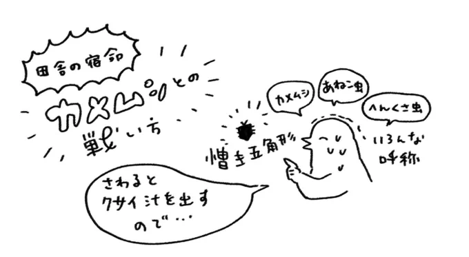 カメムシの季節ですね 