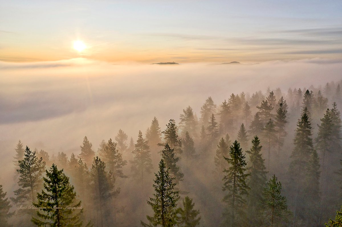 Finnish forest.
#finland #visitfinland #thisisfinland #ilmakuva #metsä #forest #joensuu #visitjoensuu #pohjoiskarjala #northkarelia #maisema #landscape #aerialview