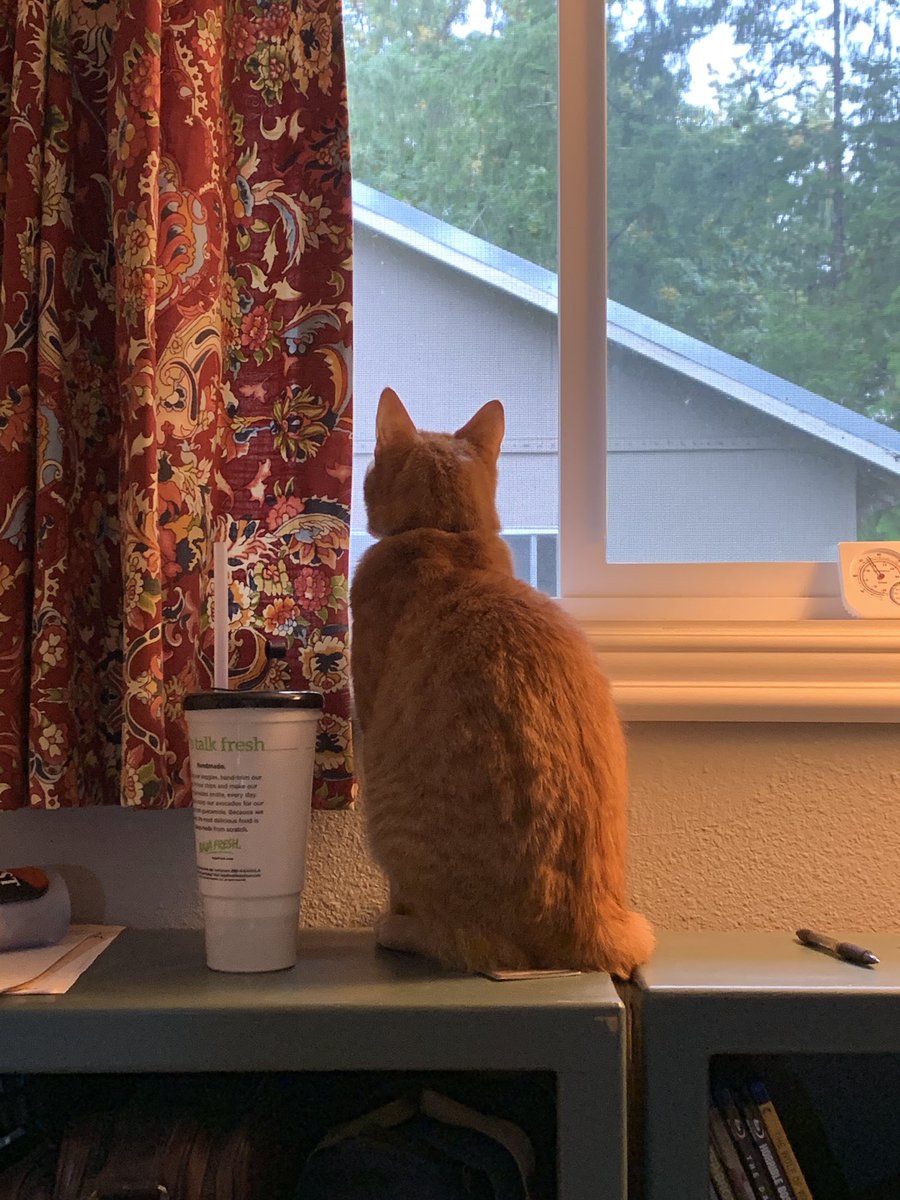 Blake_Lotus tweet media