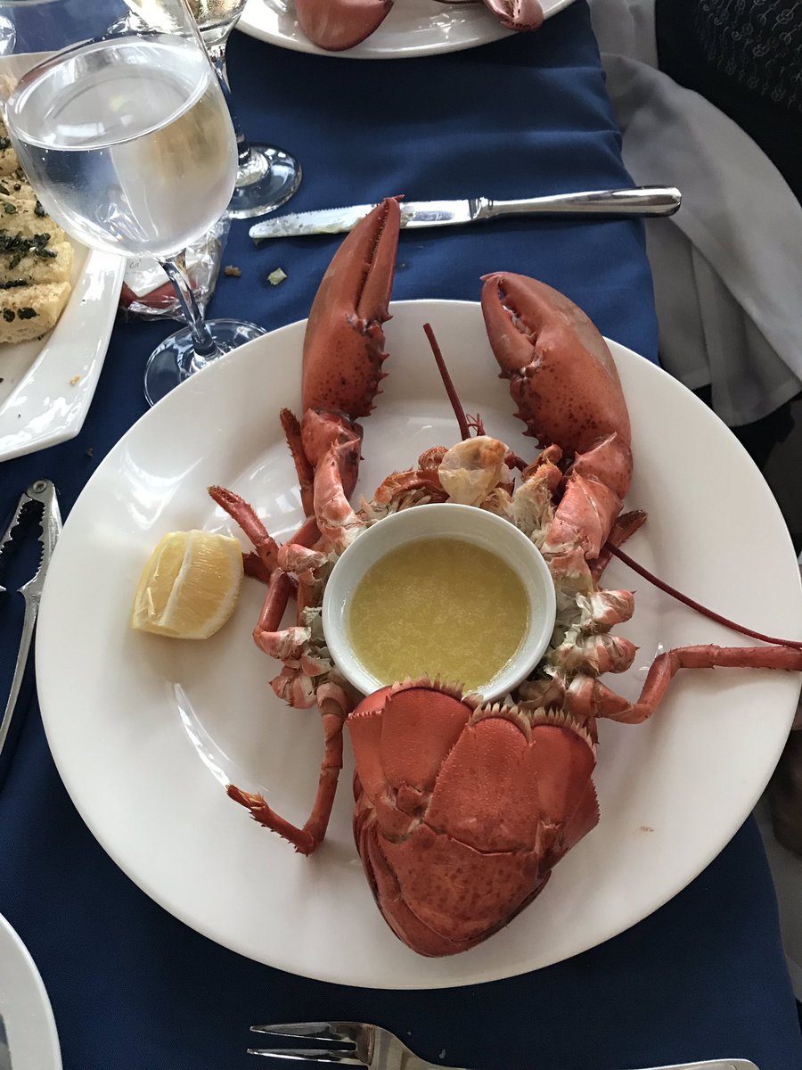 NIRI_SF's tweet photo. Dinner was served... https://t.co/FyTCLtQsm0