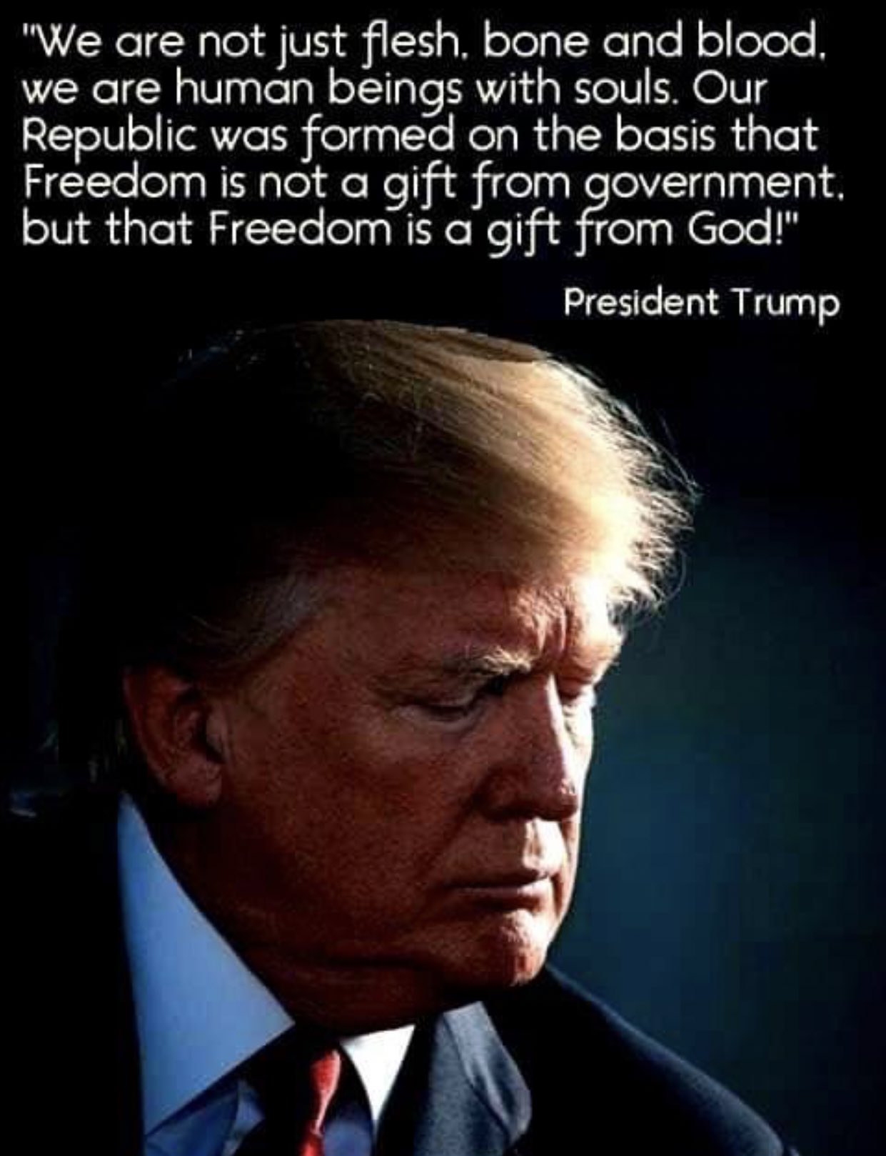 Patriotgirl77 On Twitter We Are Not Just Flesh Bone And Blood We Are Human Beings With Souls Our Republic Was Formed On The Basis That Freedom Is Not A Gift From Government