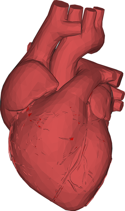 AMJJournals's tweet photo. Intermittent Fasting for #Cardiovascular_Disease Risk Factor Reduction
https://t.co/fBsohH4wat https://t.co/zsEHbMNeN1