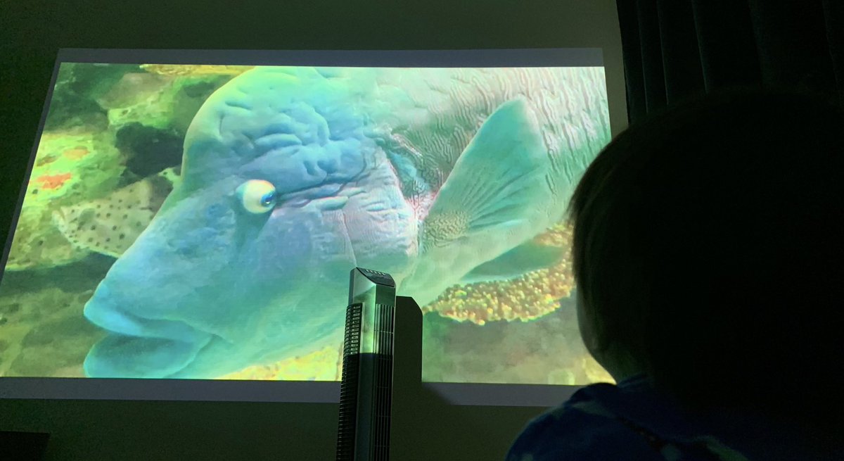 色んな水族館に行き、動画を撮って編集していた深瀬くん。
そんなのどうするんだろうと思っていたら、一歳8ヶ月になった我が子に「俺の部屋でお魚さん見るかい？」と誘っていた。