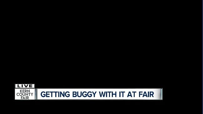 _ER1991's tweet photo. Had fun with our Live Kern County Fair newscasts. Great job by our morning an evening crews! https://t.co/B9hfOnQyfM