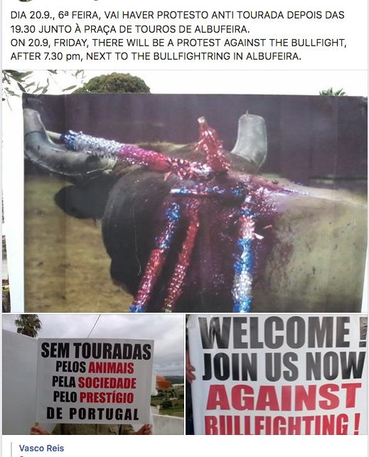 CAATantitourada's tweet photo. DIA 20.9, 6ª FEIRA, VAI HAVER PROTESTO ANTI TOURADA DEPOIS DAS 19.30 JUNTO À PRAÇA DE TOUROS DE ALBUFEIRA.
20.9, FRIDAY, PROTEST AGAINST THE BULLFIGHT, AFTER 7.30 pm, NEXT TO  BULLFIGHTRING IN ALBUFEIRA.
@CAATantitourada @vasco_reis @MATPBULLPROTECT @panportugal @StopBulfightNow https://t.co/4kVNh364E0
