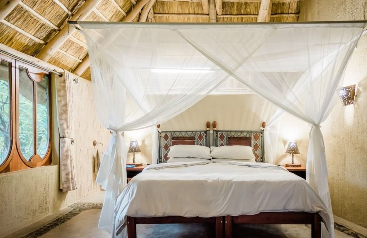 ZimBho_Official's tweet photo. Festive season is coming...think #TravelLocal...whether you choose to put up in a safari tent, a lush campsite, a comfy lodge or a chalet you will still have an awesome time at #HippoPoolsZimbabwe!
#BudgetOptions #DomesticTourism #TravelLocal #KnowYourZimbabwe https://t.co/cJHzhFZfF6