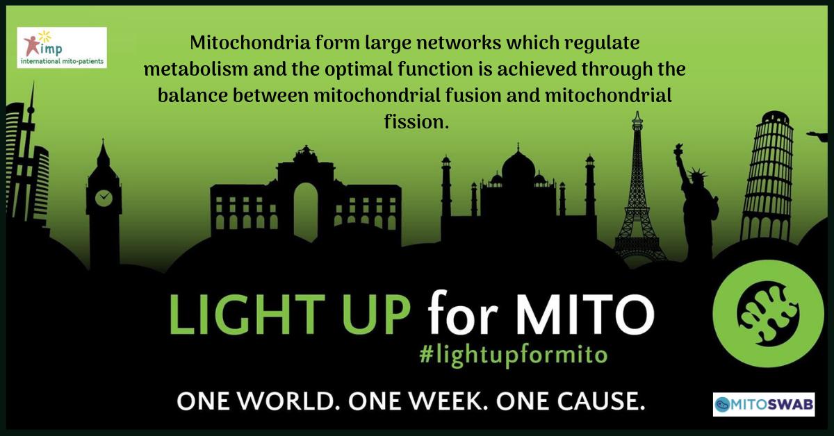 #mitochondria #mitochondrial #mitochondrialawareness #mito