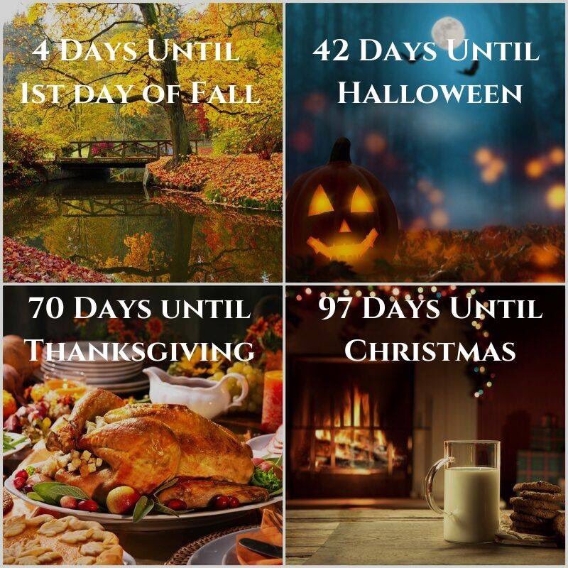 TAGiedd's tweet photo. People over hear counting down the days till holidays, and I’m here trying to slow time down to a halt. ✋ 

#slowdown #lifeistoofast #freezetime https://t.co/jP5Pe7qktz