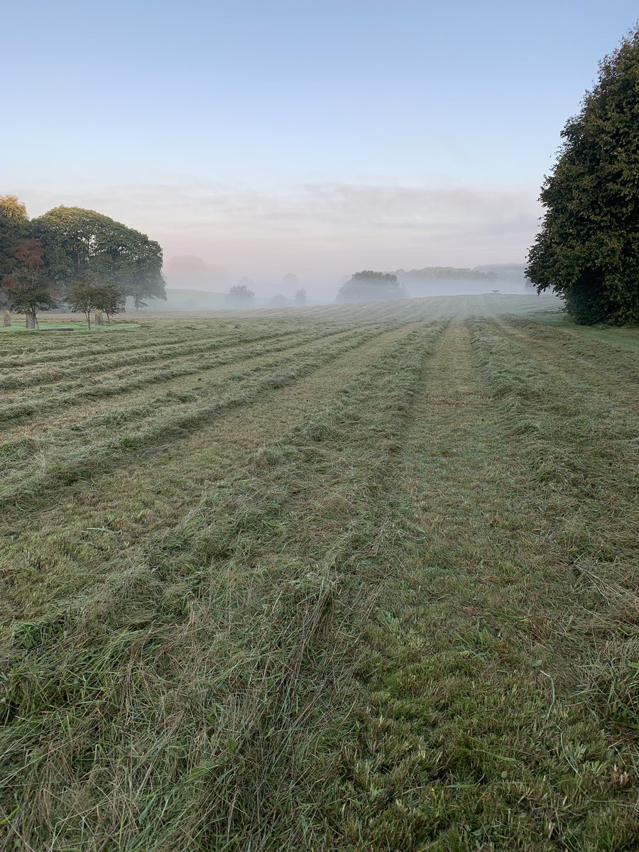 It must be autumn, cutting meadows and misty mornings
#holkerhall #cumbria #lakedistrict #meadows