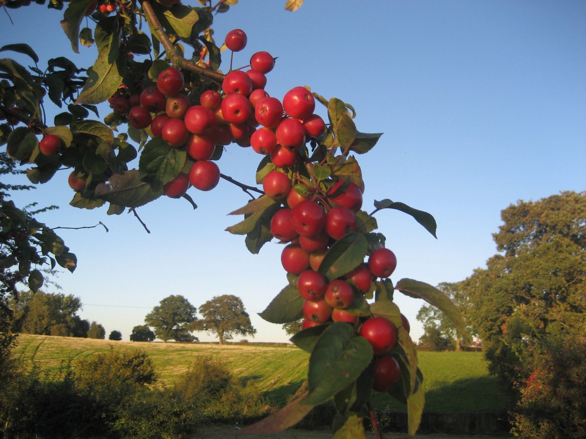 Geoff Barrow tweet media