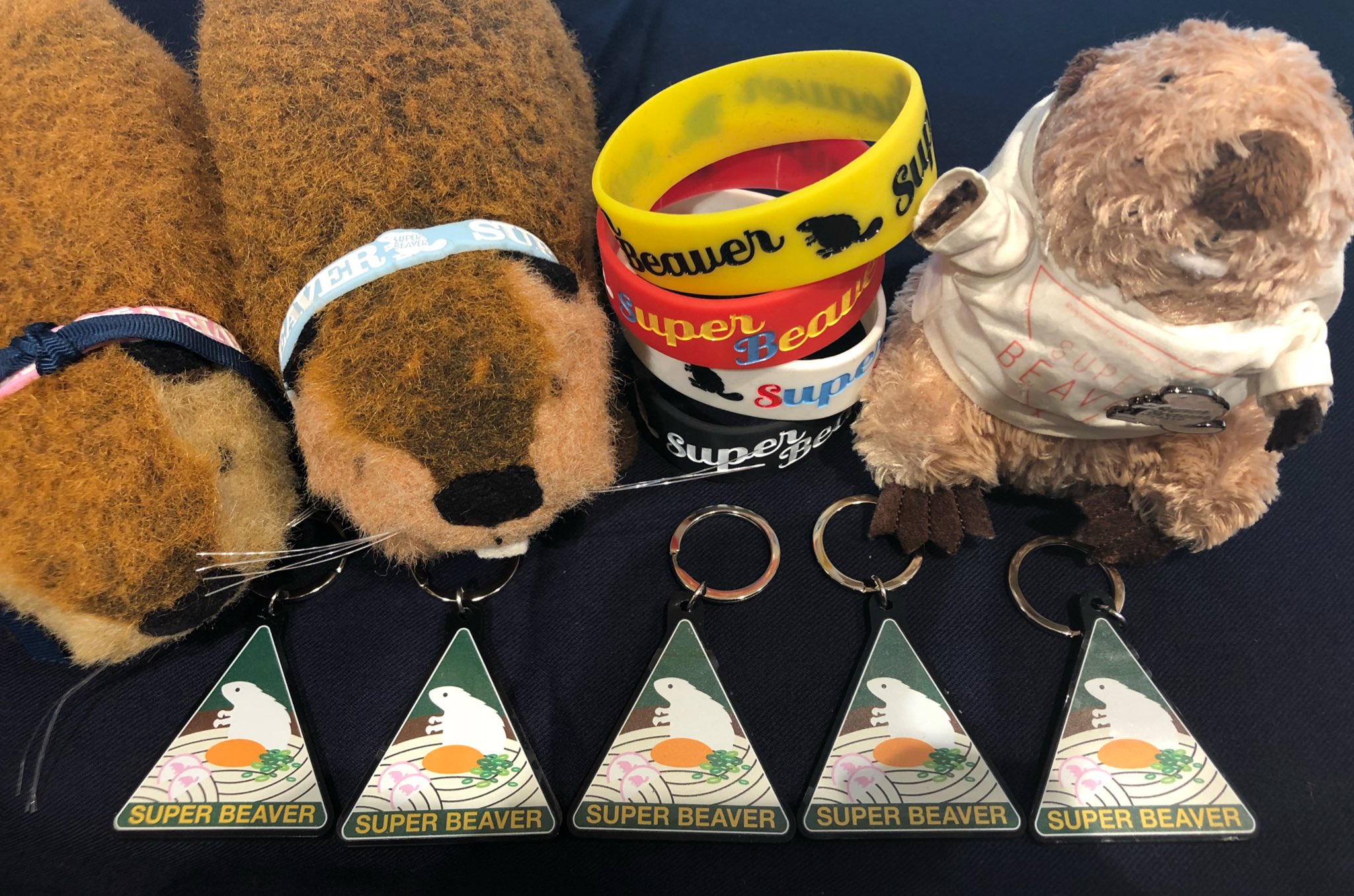 新発売の SUPER BEAVER スーパービーバーちゃん ぬいぐるみ | www 新発売の SUPER BEAVER スーパービーバーちゃん ぬいぐるみ | www