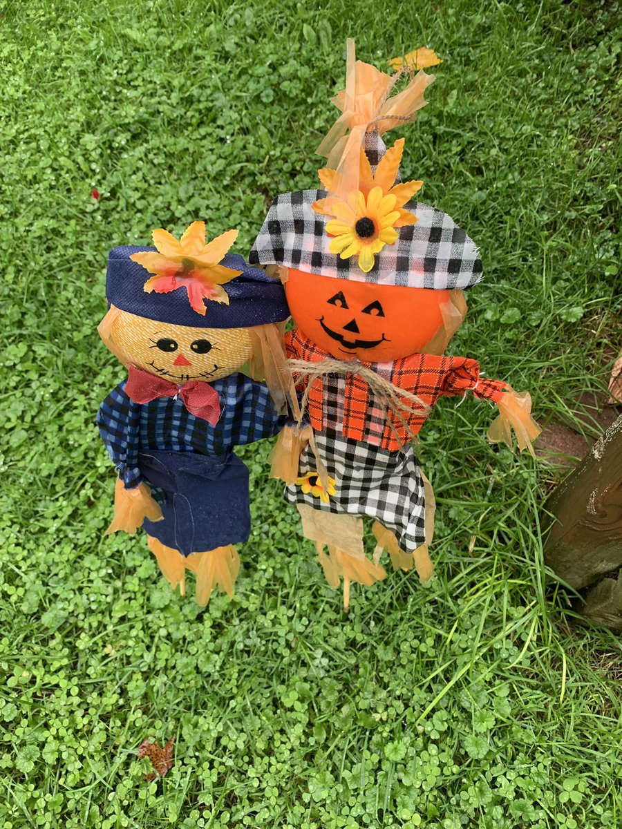 bonbonsandbooks's tweet photo. Bought these at my @dollartree stick them out yesterday, found them like this not sure π€ how they were moved like this Cute πππ
.
.
.
.
.
#dollartreefinds #dollartreebargins #justadollar #halloweendecor #falldecor #feelslikefall #halloweenisnear #october2019 #instaspooky https://t.co/FeIvMKjZon