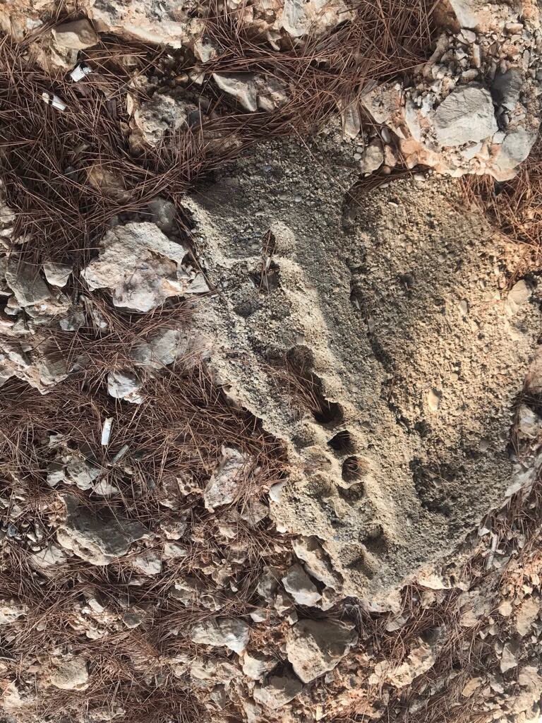 Matthau63's tweet photo. 1/vielen Liebe Tl Ich kündige hier schon mal eine #Twitter #challenge im Bereich #Archäologie an, es geht um einige #Artefakte eines vermutliches Aussteigercamps auf der Insel #Brac in der Nähe von #Bol aus den #70ern und #80ern wer kennt #Rolly? 😊 @marieirggang @Barbar_aber https://t.co/HAmhQcfzAf