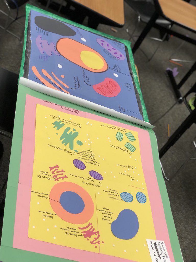 Anyone order Extra Large Plant Cells?!!    Survey of Ag just started Plant science!