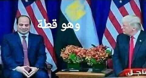 3r15Sh's tweet photo. كلب وحقير ولا شوفت زيك حد ...من يوم ماجيت وانت لم بترحم حد ..قتلت وسرقت وسجنت وانت ماتختشي حد ...يابلحة يامعلقة بكرة الشعب يدوس عليك... وسيرتك هتبقا على كل لسان من الى هيحصل فيك ..
حسابي الجديد ...الحساب القديم قفلوة المعرضين 
#السيسي_ومحمود_بيخربوا_مصر https://t.co/WoiDbBWr3t