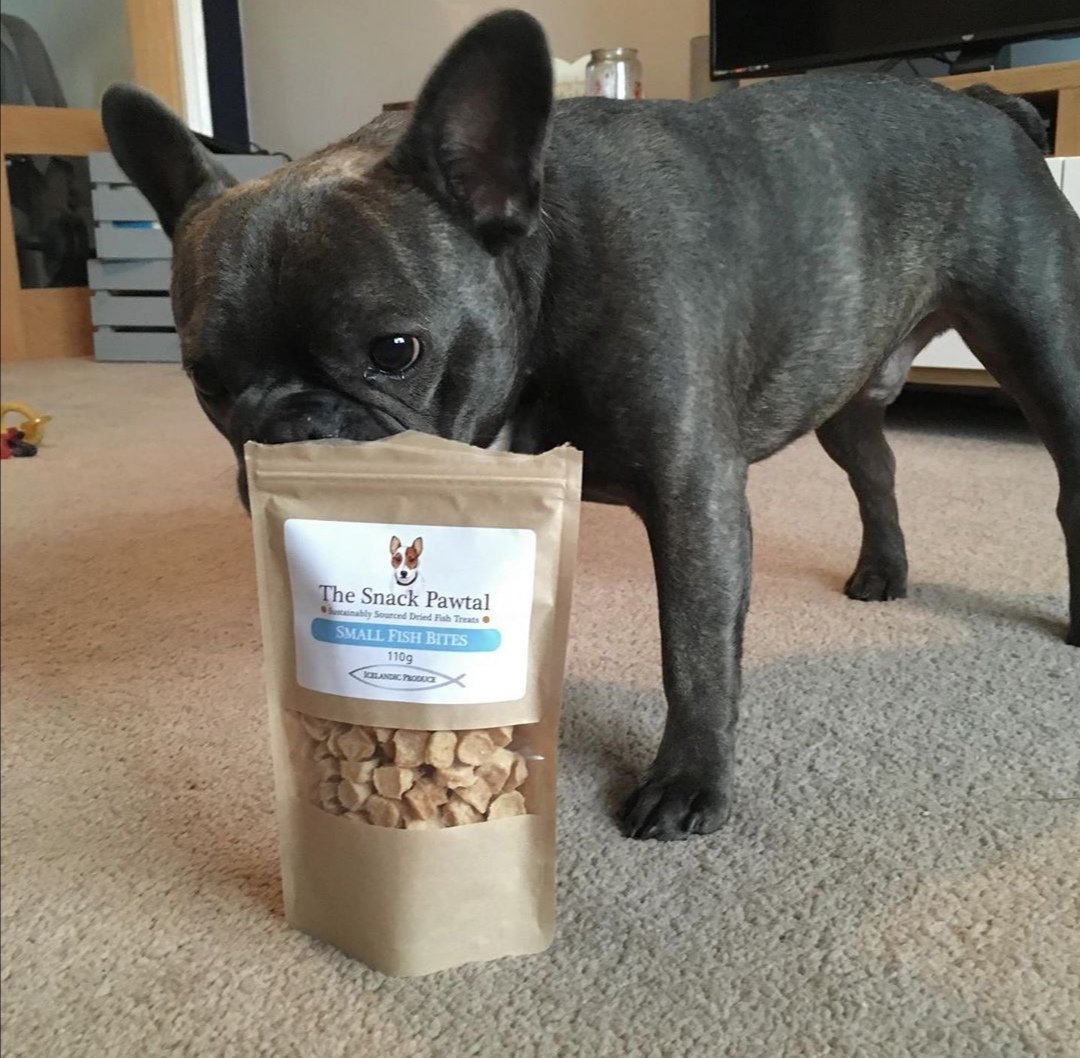 TheSnackPawtal's tweet photo. Well isn't Bruce just adorable? Happy customer with his cod and haddock bites 💙 #Repost @frenchiebullbruce
•  •  •  •  •
Our new fishy treats have arrived 🎉🐾 and Bruce loves them! @thesnackpawtal #frenchiesofinstagram #frenchiegram #frenchbulldog #frenchielove https://t.co/sIyxdjlkch