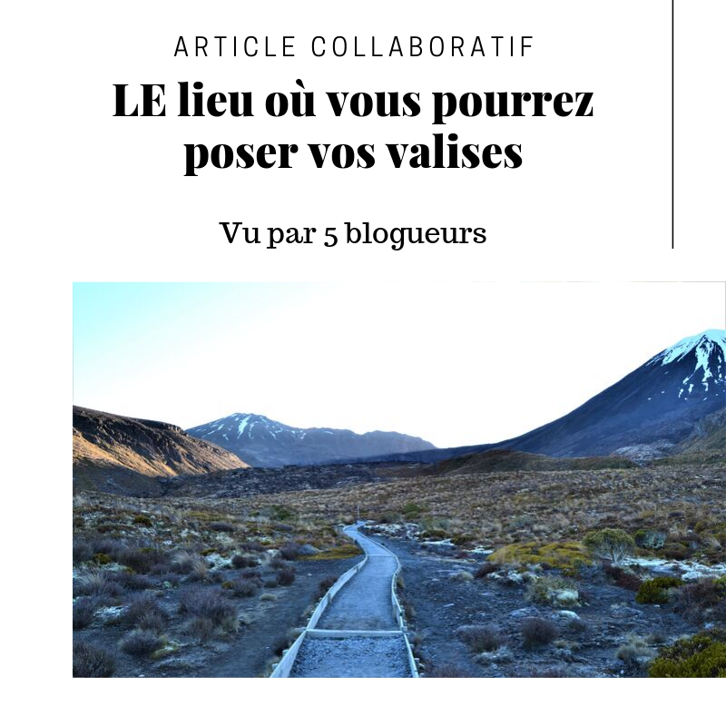 jenonroad's tweet photo. #BLOG nouvel article en ligne !
Venez rêver sur mon #ArticleCollaboratif "LE lieu où vous pourrez poser vos valises".
Merci aux participants !
https://t.co/1LUuqqJDos
#Travel #réflexion #travelblog #blogging #newblogpost https://t.co/o4VkIp3gjz