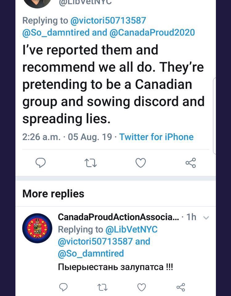 5. Another piece of Manning Centre’s funding of 3rd party propaganda groups is the preponderance of foreign fake troll farm accounts that routinely show up in these “Proud” type groups on social media. They exclusively work to attack Trudeau &  #LPC. What’s the connection? #elxn43