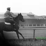 Photo by KY Photo Archive (@KYPhotoArchive)