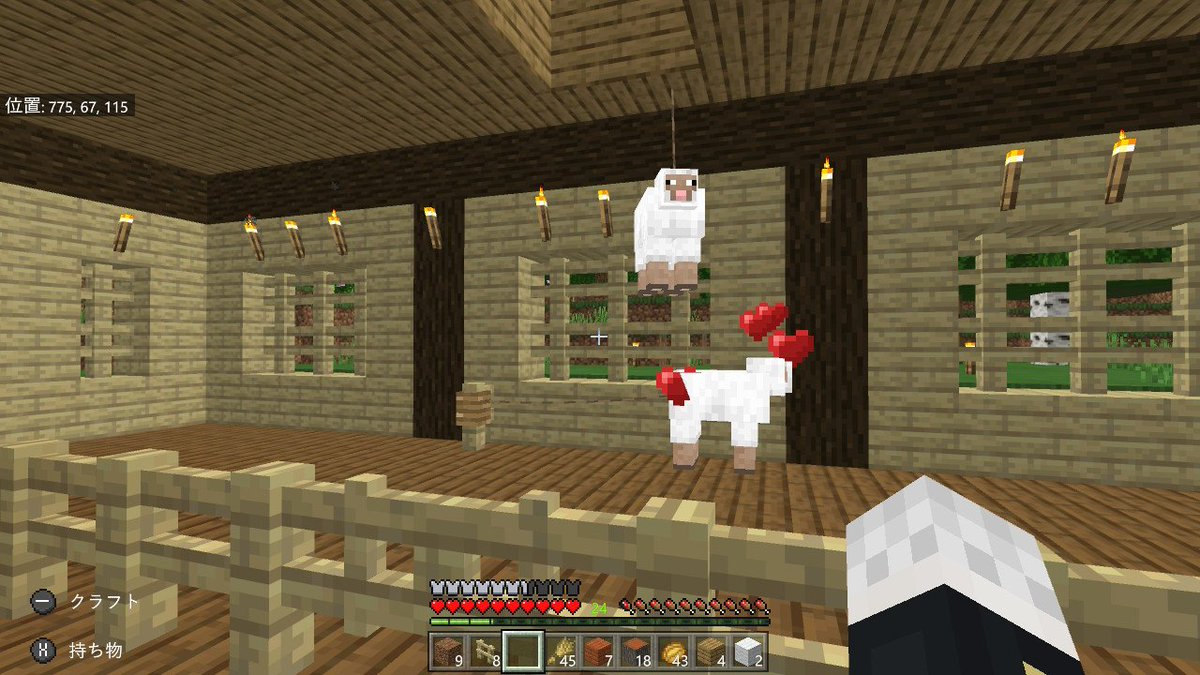 まよいこんだ手羽子 Twitterren Minecraft マイクラ マインクラフト Nintendoswitch 新しい犬小屋 おもちゃ付き