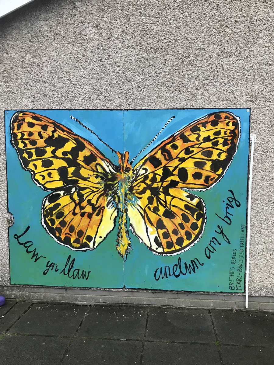 Ysgllanbrynmair's tweet photo. @ennyncymru Thank you Nicky & Elin for making sure that the pupils had fun developing their creative skills. We now have a colourful playground #DevelopingCreativity https://t.co/lyZqlvRL79