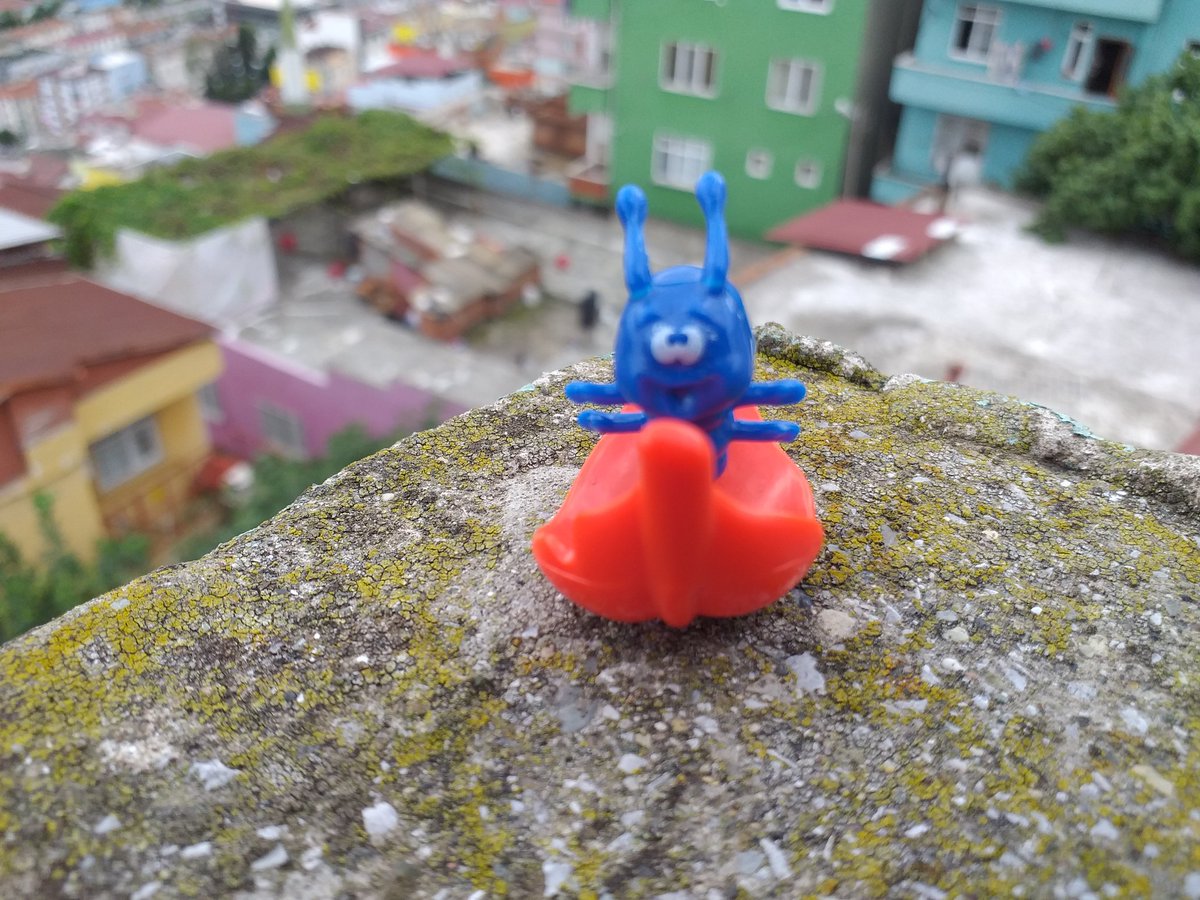 #birtırtılhikayesi
#Eğlenceliçocukvideosu 
#funnyvideo 
#gülmekserbest 
Bebekler ve Çocuklar icin tatlı bir tırtıl hikayesi sizlerle 
youtu.be/zEkc9tUvV68