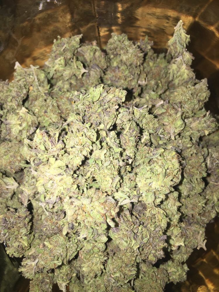 trader_cannabis's tweet photo. https://t.co/1vEFvBhi31 https://t.co/jfcUz3Fe1P