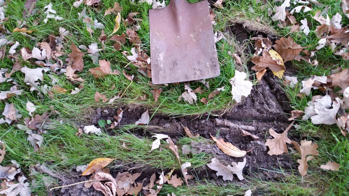 brrsmithauthor's tweet photo. A good sized #deerscrape from what looks to be a good sized #whitetail buck. Where? Our backyard. Should be a good hunt this year! #AmWriting #SpellWeavers, where a horse, not a deer, is field dressed. https://t.co/TUWyI7lysl
