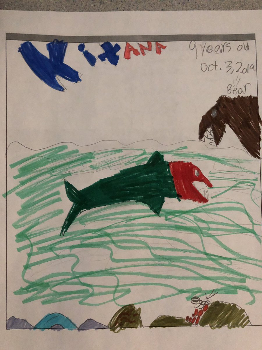 leilalattimer's tweet photo. @LiveItearth #liveitsalmon where do salmon lay eggs ? Signal hill Elementary https://t.co/emsKzXhk5L