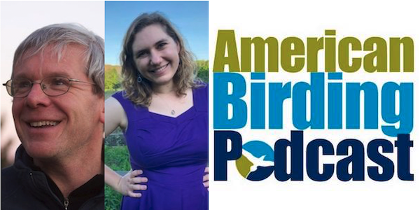 ABA's tweet photo. On the American Birding Podcast, Birding editor Ted Floyd and ABC Director of Public Relations Jordan Rutter discuss the loss of 3 billion breeding birds across the US and Canada, what it means for birders, and what you can do about it. #BringBirdsBack

https://t.co/Piy3voD31p https://t.co/KVWUnOGLQA