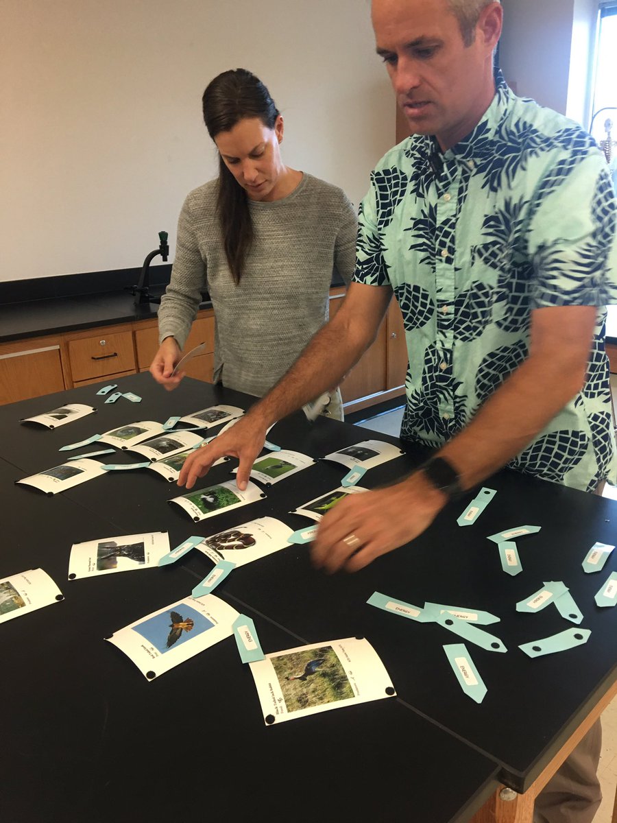 annawydeven's tweet image. Experiences + great discussions with LHS Science about planning lab placement to drive sense-making opportunities; Inquiry Labs drive the WHY/relevance of the lesson. #ArtofTeaching
@GambleChristie @LHS_principal20 
@lisdsecsci