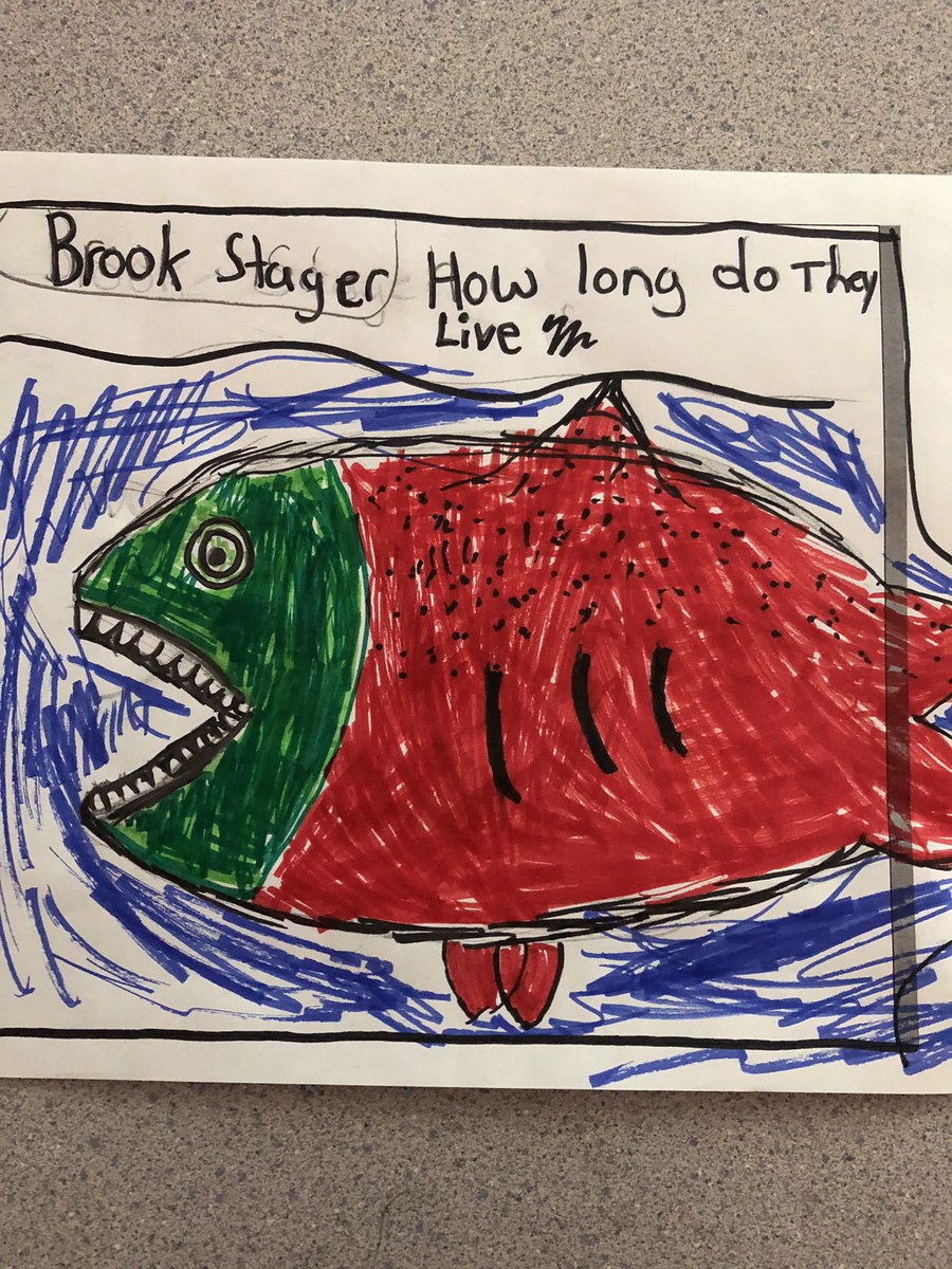 leilalattimer's tweet photo. #liveitsalmon @LiveItearth signal hill elementary https://t.co/Bt7qwIkdkO
