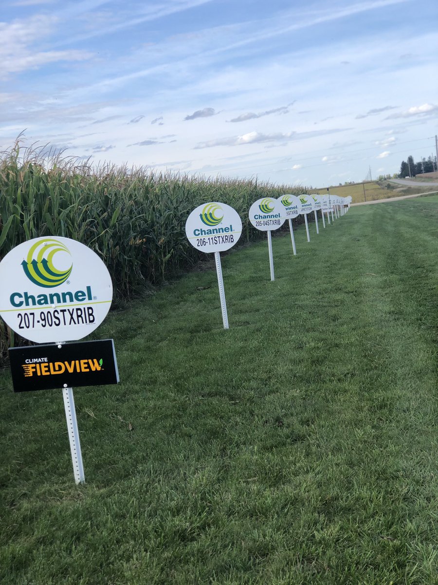 SeedBarker's tweet photo. 2019 plot tour in the books! Ready for the rain to quit and harvest to really begin #channelseed #360yield #precisionplanting https://t.co/BbIsqiWgzQ