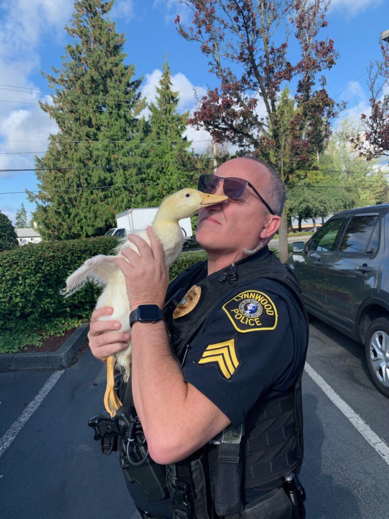 Lynnwood Police on Twitter "Our Code Enforcement Officer was a real