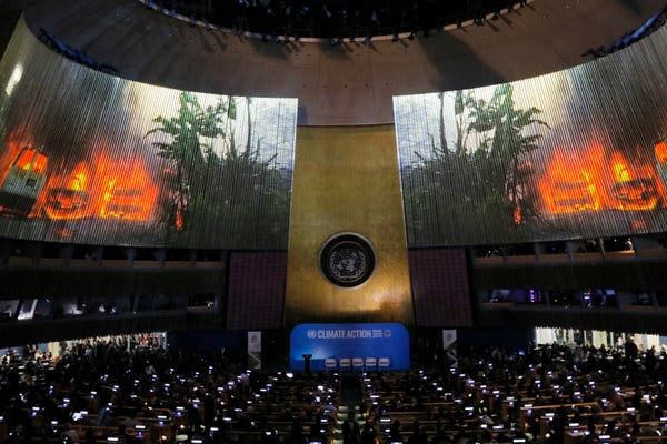 EarlBRussell's tweet image. At U.N. Climate Summit, Few Commitments and U.S. Silence buff.ly/2mE7opS @GretaThunberg #USfail #SpeakingTruthToPower  #ClimateChange #Election2020