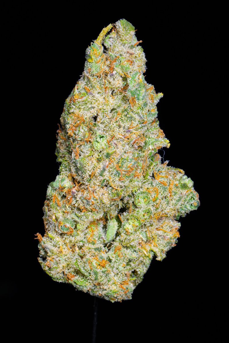 HighLifeFarmsMI's tweet photo. #Skunkberry is the top selling flower in Michigan. What an honor. Thank you to our passionate team of savages who make #HighLifeFarms what it is. Thank you to all of the great patients & provisioning centers who helped make this possible! 🙏🏻 #mmmp #mmfla #michigangrown #cannabis https://t.co/PoAPRxWapU
