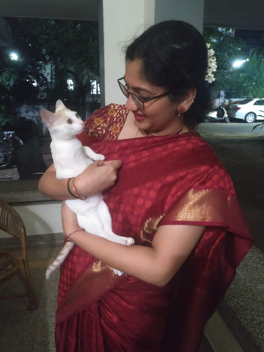 smriti_raghu's tweet photo. Scotchy Poochy be my #forevermuse โฅ๏ธ PC - @_poorvaja ๐ #CatsOfTwitter #Navaratri2019 https://t.co/oF2E8Uqa3g