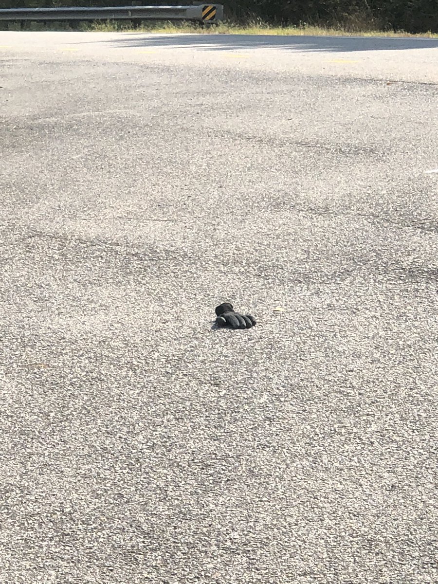 Has <a href="/tomhanks/">Tom Hanks</a> been by my house? If so, tHanx.