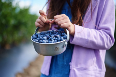 FarmtoSchool's tweet photo. Dive into @blueberry411 Highbush Blueberry Farm to School Playbook to take your school nutrition program from great to #positivelybluetiful. Packed with fun activities and recipes, your students and staff will love these little blue dynamos! π https://t.co/rUEaL6njfV https://t.co/yr0SyrQusd