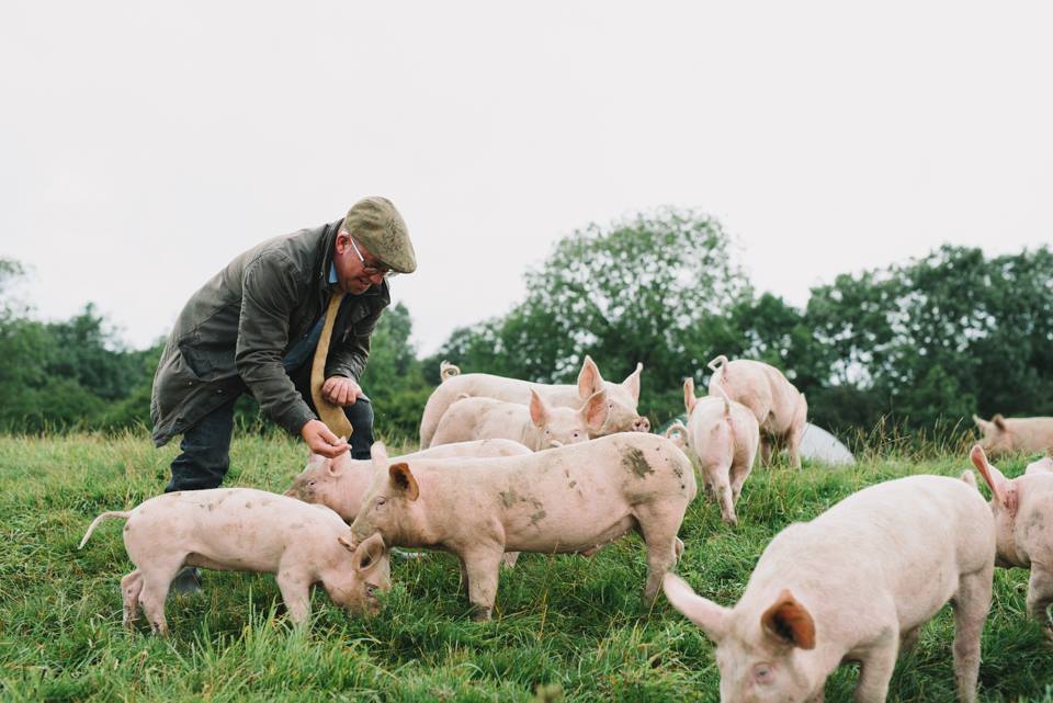 Down on the farm.

#LeedsHour ow.ly/jO9f50w5b46