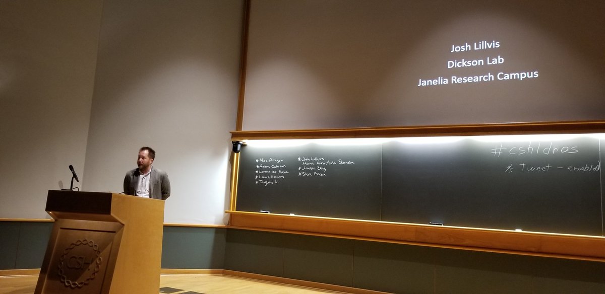 let's get huge!! josh lillvis from janelia talks about synaptic imaging using expansion microscopy (first published in fly by us!) at #cshldros .