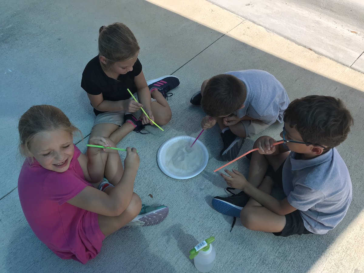 Amanda Serrano tweet media