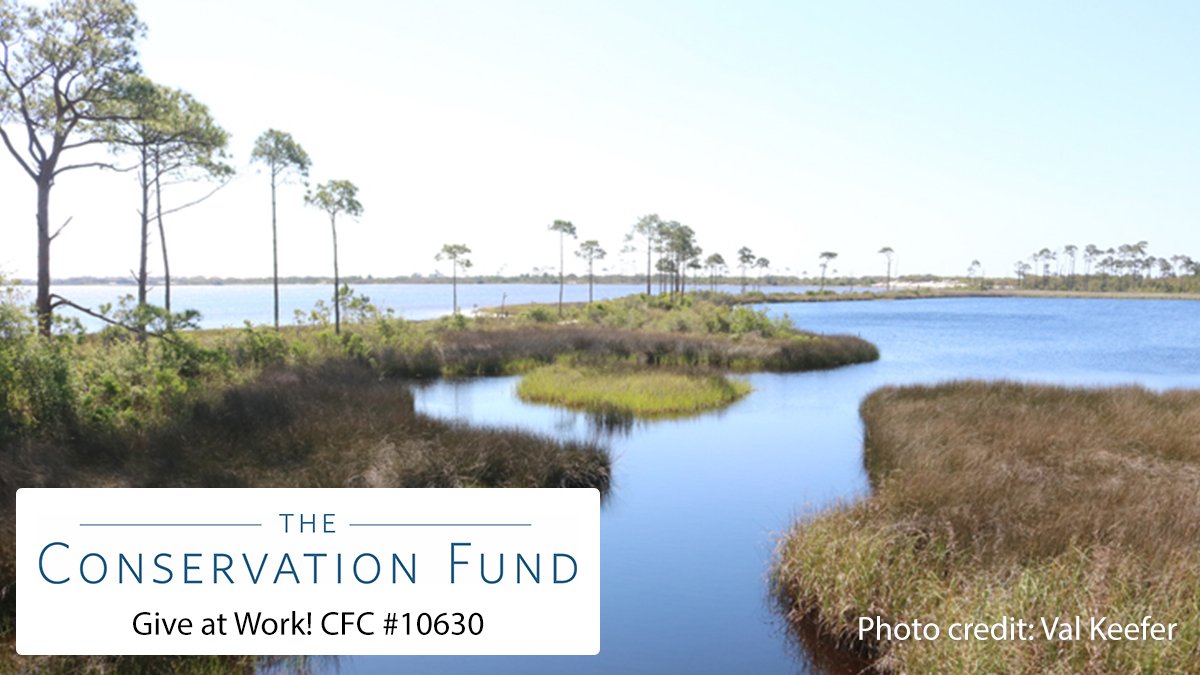 America's Charities tweet media